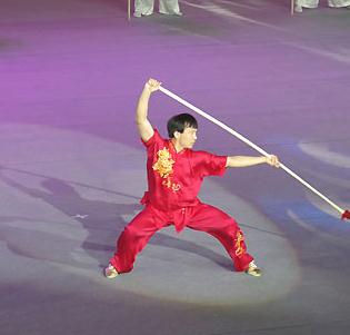 華奧武術