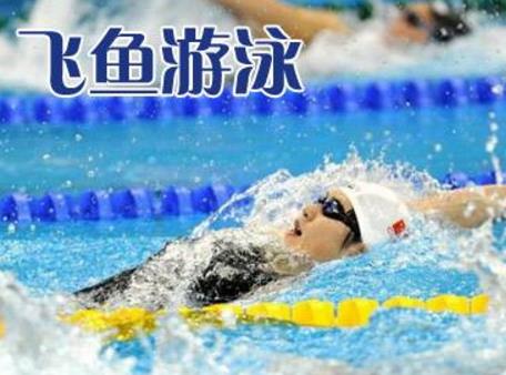 飛魚游泳培訓