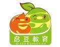 啟豆、金啟豆