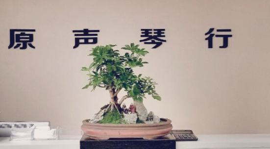 原聲琴行