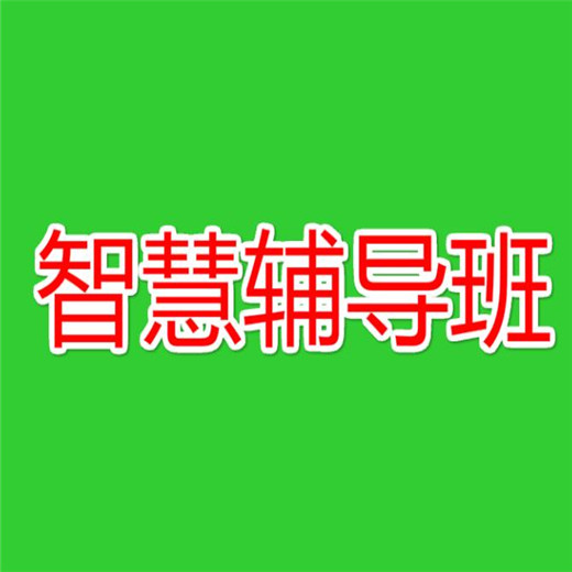 智慧輔導班