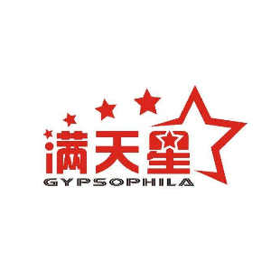 滿天星藝術培訓中心