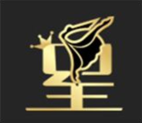 舞之星舞蹈藝術培訓