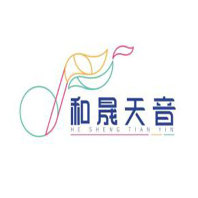 和晟天音琴行