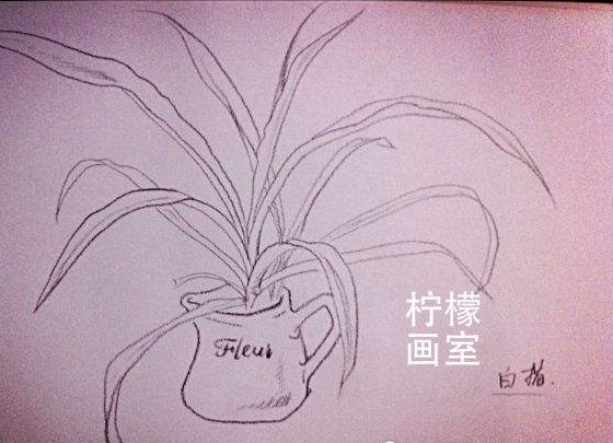 檸檬畫室
