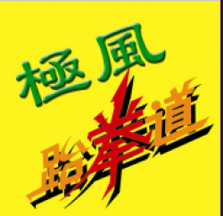 極風(fēng)跆拳道
