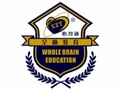 心智通全腦開發(fā)