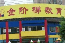 金階梯教育