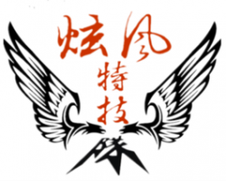 炫風跆拳道