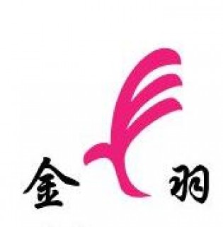 金羽藝術高考