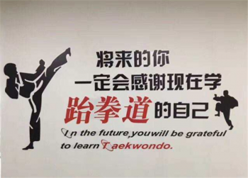 新星跆拳道