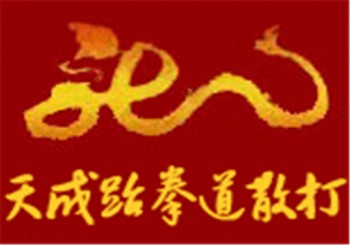 天成跆拳道