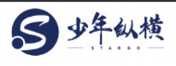 少年縱橫圍棋