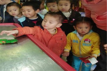 孫瑞雪幼兒園