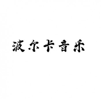 波爾卡音樂藝術(shù)教育