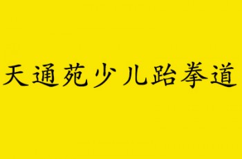 天通苑少兒跆拳道