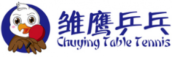雛鷹乒乓球培訓
