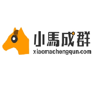 小馬成群教育