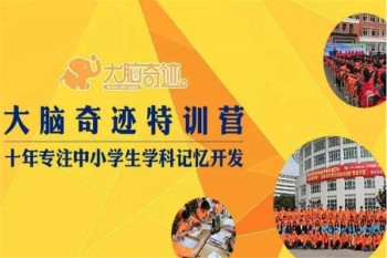 大腦奇跡教育