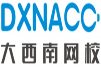 大西南網校