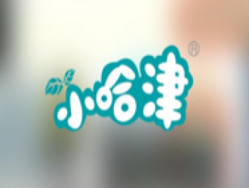 小哈津早教