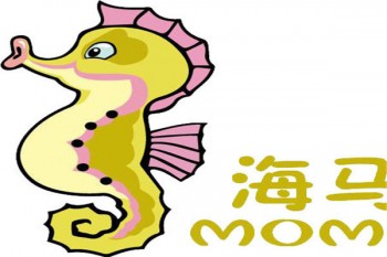 海馬momo