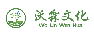 沃霖珠心算