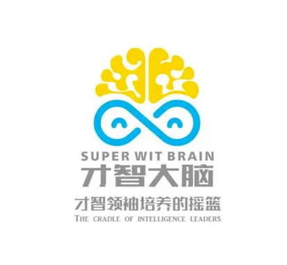 才智大腦教育