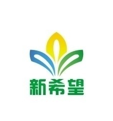 新希望美術(shù)教育