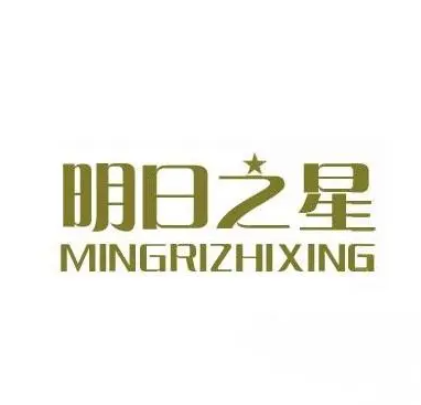  明日之星創(chuàng)新作文