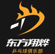 ?東方翔燁乒乓球教育