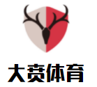 大賁體育籃球培訓(xùn)