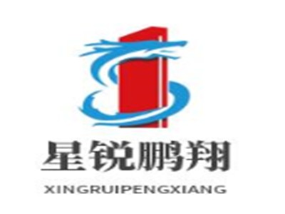 星銳鵬翔籃球培訓