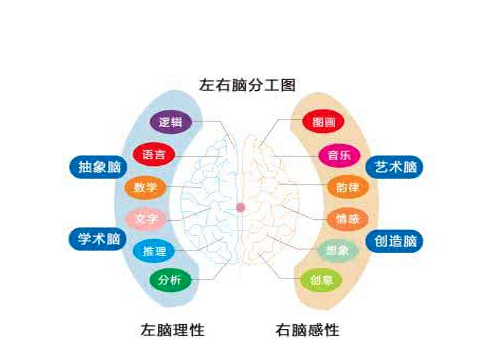 全腦教育
