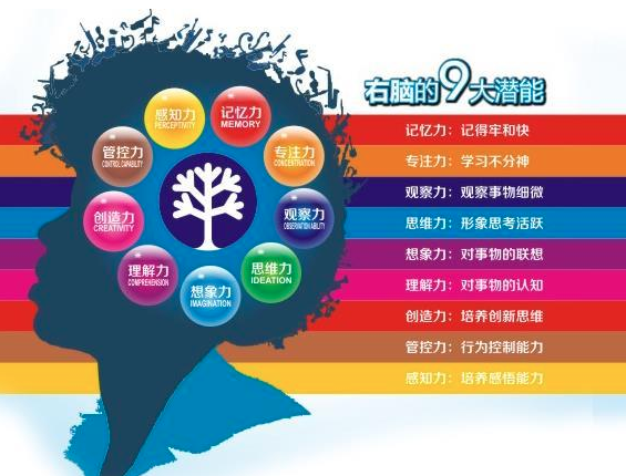 fcf右腦潛能開發