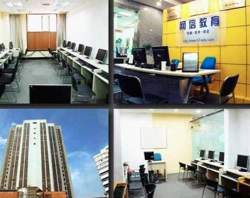 網信教育