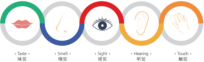 Brain School早教中心加盟