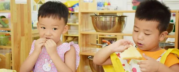 樹果國際幼兒園加盟