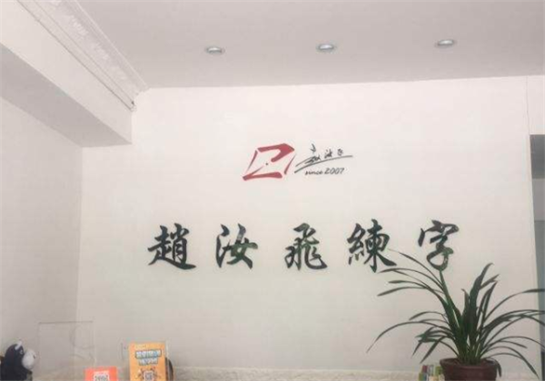 趙汝飛練字