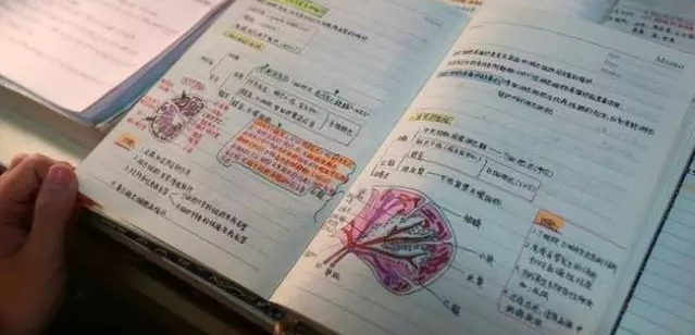 優勝個性學加盟