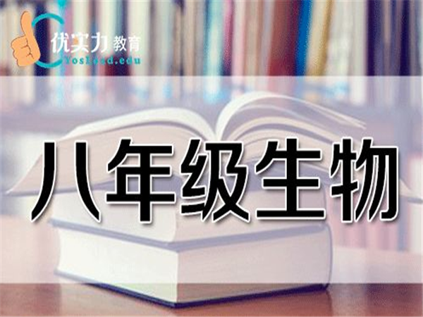 優實力中考輔導