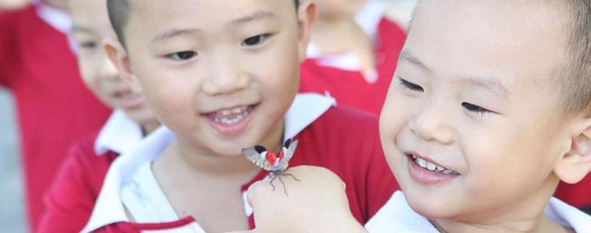 北大青鳥幼兒園加盟
