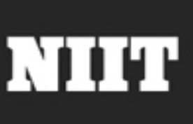 NIITIT培訓