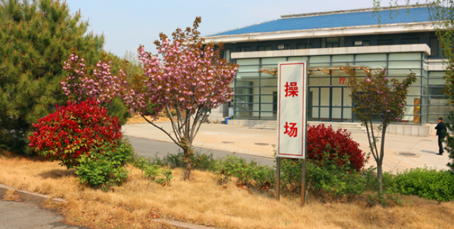 小硬漢訓練營加盟