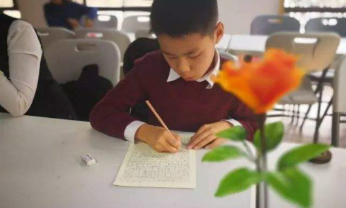 閔行朗恩進修學校加盟