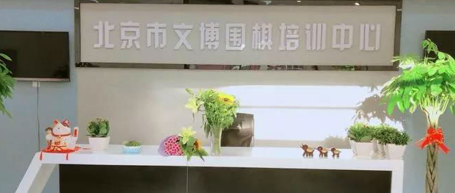 文博圍棋培訓中心加盟