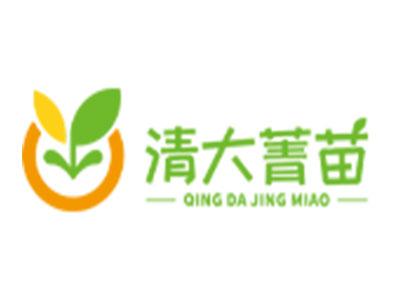 清大菁苗素質教育