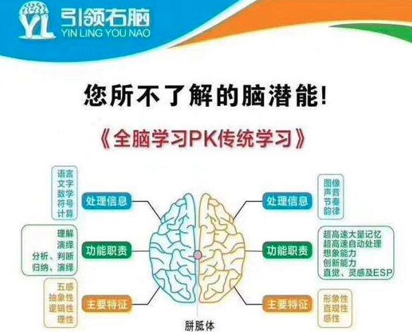 引領右腦加盟