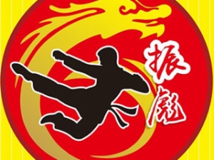 振彪武術
