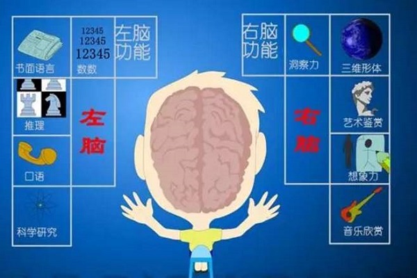 智心泉腦潛能加盟